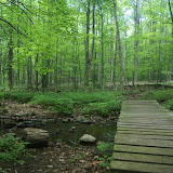 DSC09215.JPG