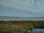 IMG_20130301_093009.jpg