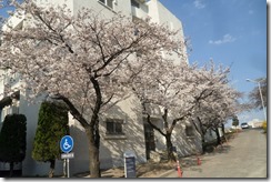 Korea set 7 003 Korea set 7 003