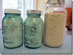 blueberries & cream instant oatmeal - The Backyard Farmwife