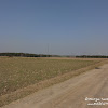dsc06858.jpg