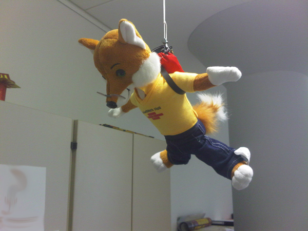 foxy_web.jpg foxy_web.jpg