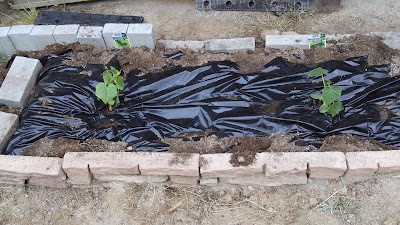 2014-05-04 17.24.58.jpg