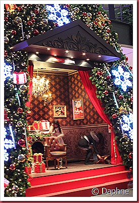 IMG_1557 IMG_1557