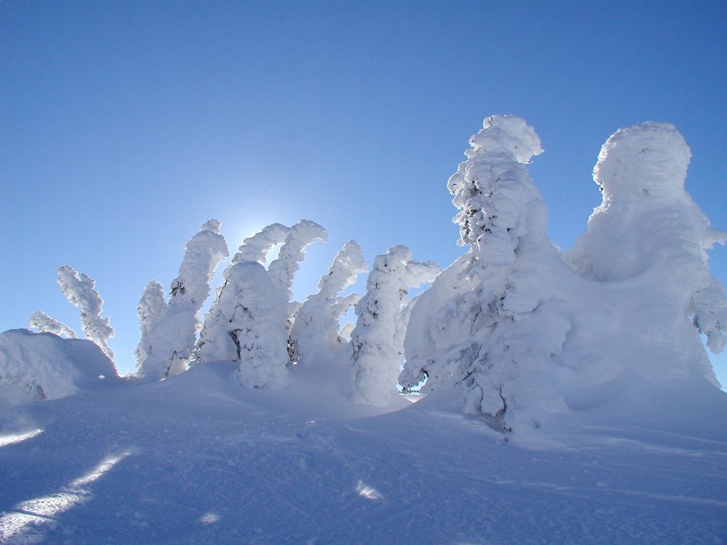 [Big-White-snow-ghosts-with-sun-tree-covered-in-snow-2%255B4%255D.jpg]