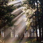 20091125 Allgaeu 0912 [640x480].JPG