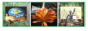 Consultorías-ANAC-Prueba Logotipo.bmp