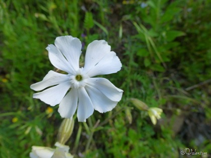 [P1030089%255B4%255D.jpg]