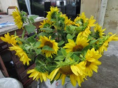 IMG_0654 IMG_0654