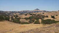 DSC02960.jpg