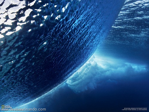wallpapers national geographic desbaratinando (55) wallpapers national geographic desbaratinando (55)