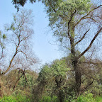 IMG_7750.JPG