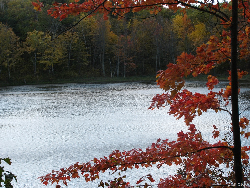 [Bottomless%2520Lake%255B9%255D.jpg]