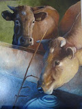 2 Drinkende koeien - 60 x 80 cm - olieverf op paneel