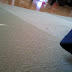 2012-02-29 14.12.56.jpg