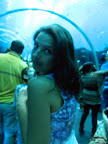 DSCN4053.JPG