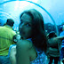 DSCN4053.JPG