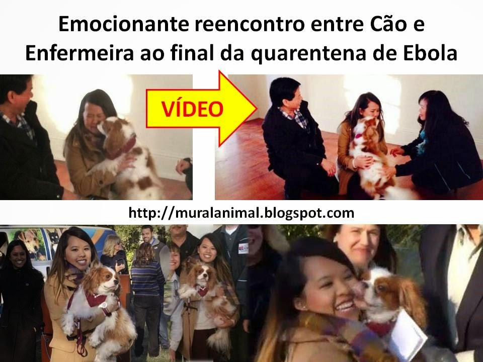 [Emocionante%2520reencontro%2520entre%2520C%25C3%25A3o%2520e%2520Enfermeira%2520ao%2520final%255B3%255D.jpg]