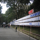 On the walkway to Meiji Shrine On the walkway to Meiji Shrine