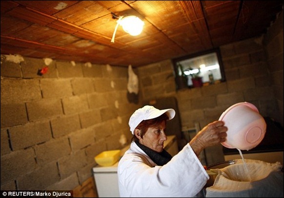 Worlds_Most_Expensive_Cheese_05 Worlds_Most_Expensive_Cheese_05