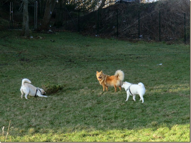 november 2 2011 097