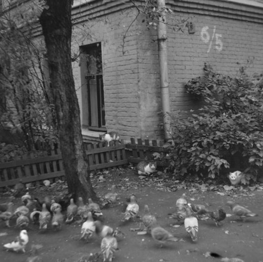 clip_image077 clip_image077