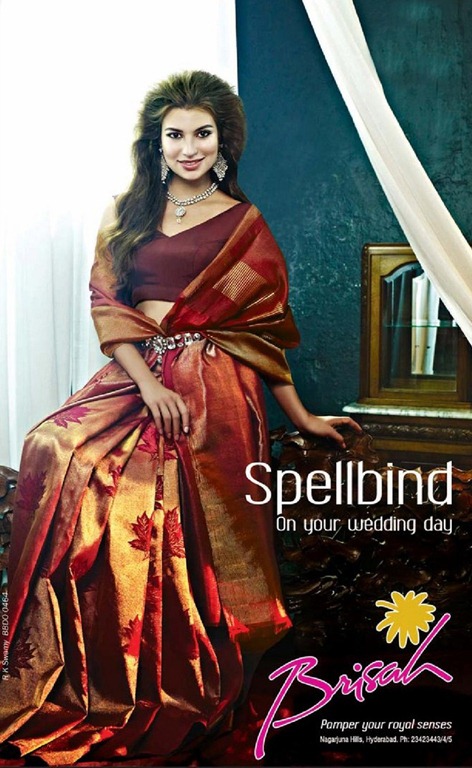 [Brisah_Wedding_Saree4.jpg]