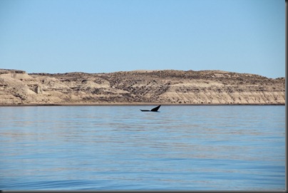 IMG_0938 IMG_0938