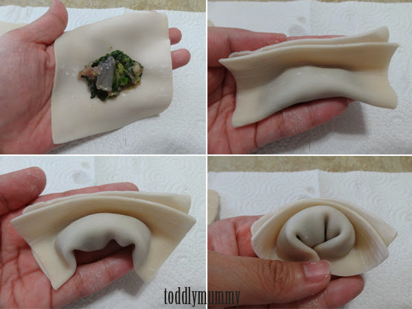 Shanghainese wonton 8.jpg Shanghainese wonton 8