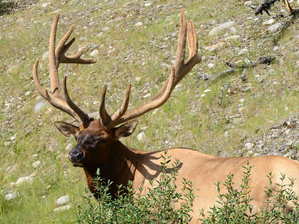 [To%2520Jasper%2520Day%252037_4898%255B4%255D.jpg]