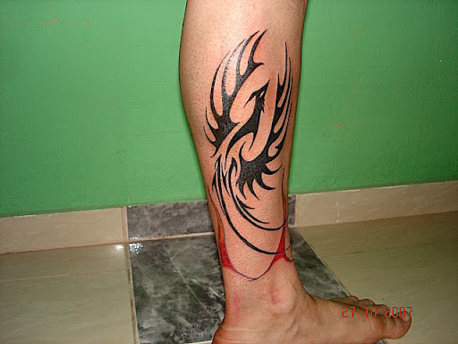 tatuagem fenix tribal na perna 2jpg Tarzia Tattoo Tatuagem Piercing 