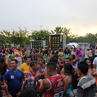  Carnaval_Cantanhede_Bloco_Cana_Limao_2012