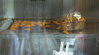 A cook transfers the dough squares to hot oil, which fries them up into puffy golden fritters.