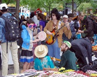 Occupy wall street hippies