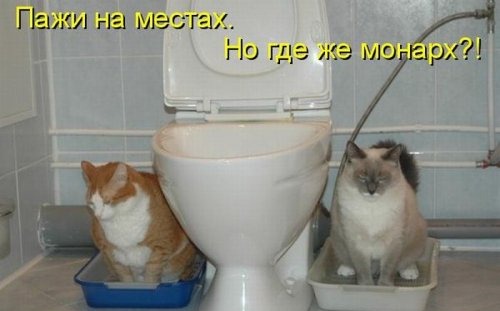 [1297989267_kotomatritsa-13%255B4%255D.jpg]