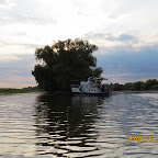 IMG_8249.JPG