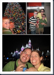 Disneyland11-14-12 (722x1024)