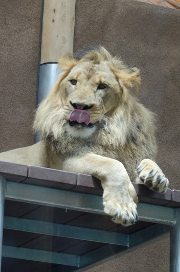 [zoo-23%255B9%255D.jpg]