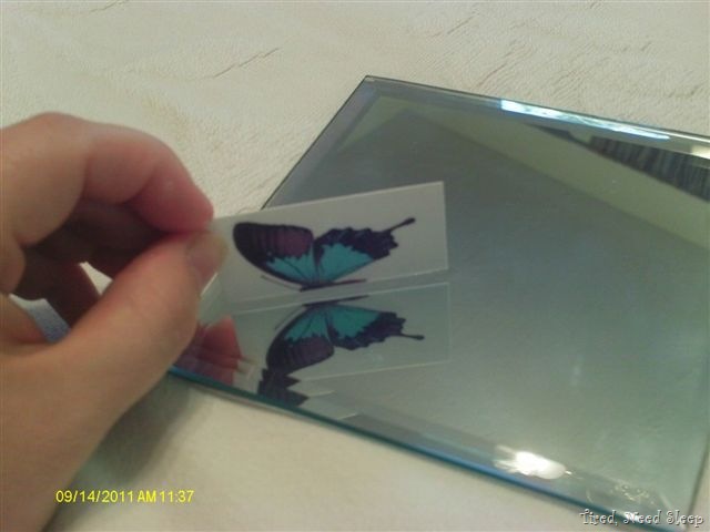 [butterflyunit91.jpg]