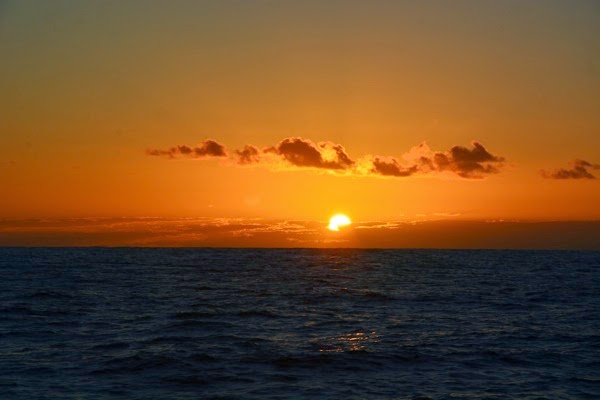DSC_3731.JPG DSC 3731