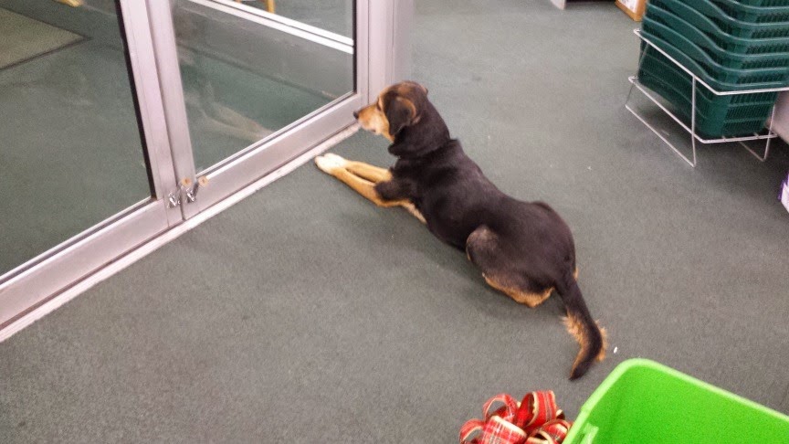 [20141205_204642%255B3%255D.jpg]