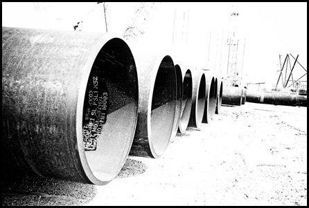[DSC_0652_thumb32.jpg]