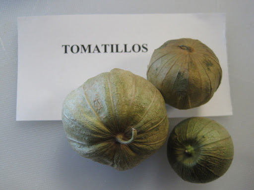 This tomato-like fruit (not really a green tomato, but related to the cape gooseberry) was brought in as a ringer!