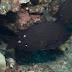 P5123456