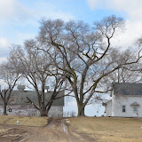 "Tire Swing, Illinois" - copyright David Thompson
