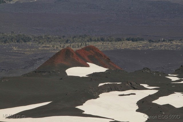 [IMG_2995%255B7%255D.jpg]