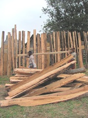 Plimoth Plantation 8.30.2-13 cut logs