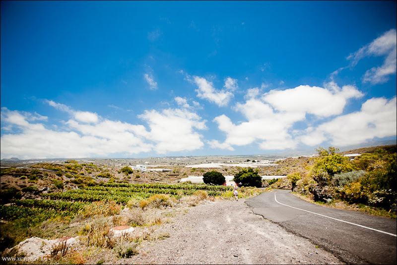 001 www.ychilov.ru foto tenerife.jpg