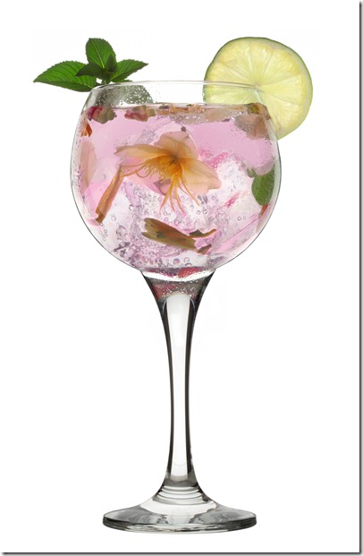 GinTonics