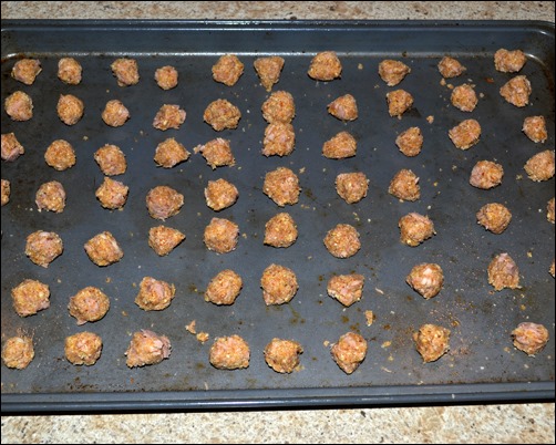 baked homemade cat treats